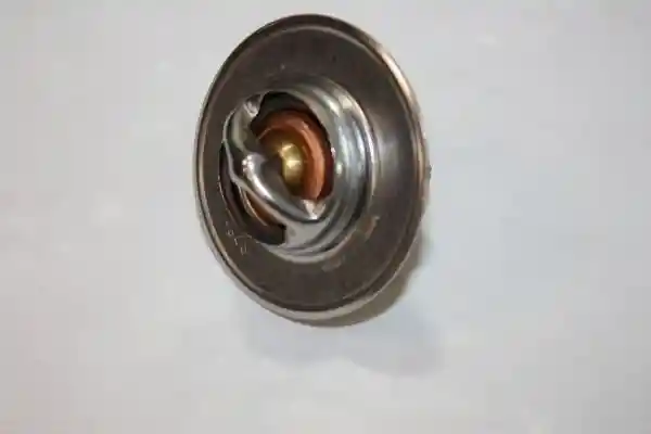 AUTOMEGA 160047110 AUTOMEGA 160047110