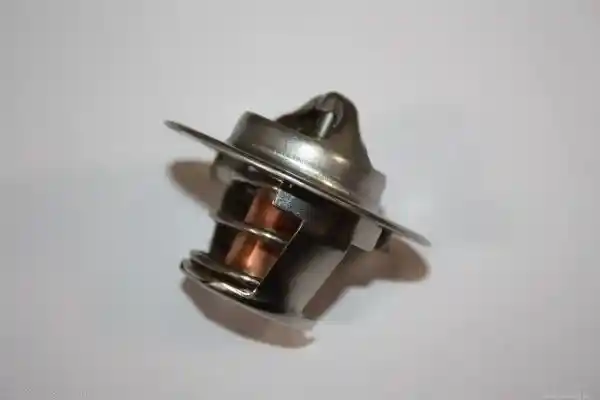 AUTOMEGA 160099810 AUTOMEGA 160099810