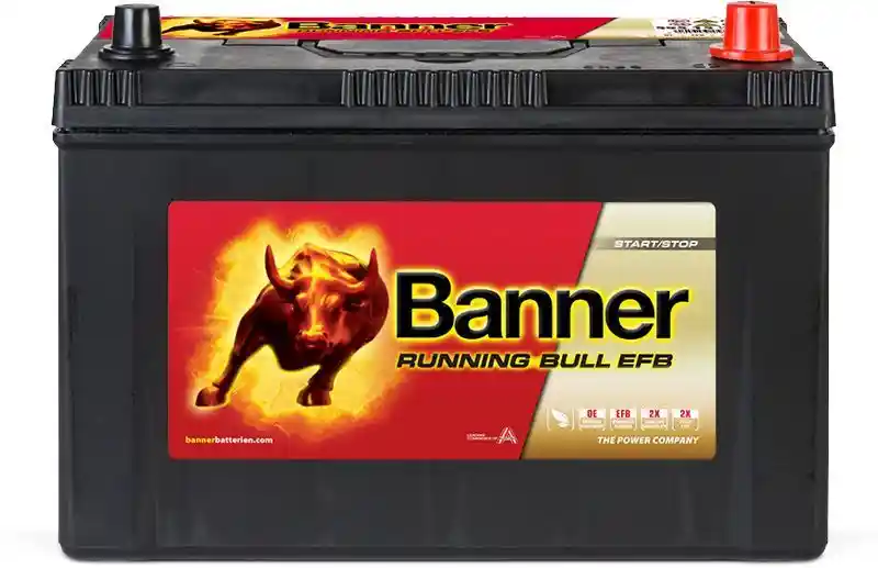 Banner 012595150101