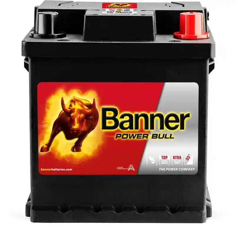 Banner 013542080101