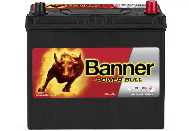 Banner 013545230101