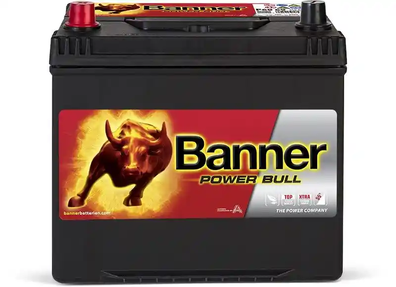 Banner 013560690101