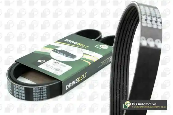 BGA 6PK1019E