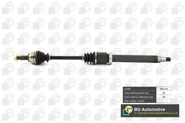 BGA DS2304R BGA DS2304R