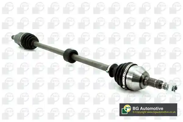 BGA DS9538R BGA DS9538R