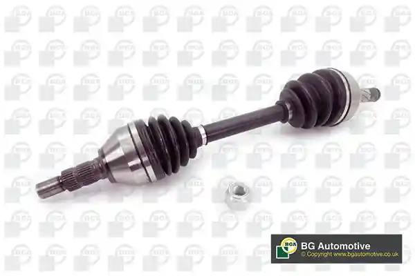 BGA DS9569L