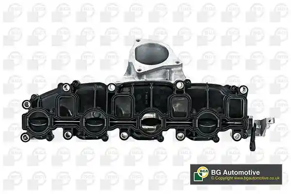 BGA MG01010