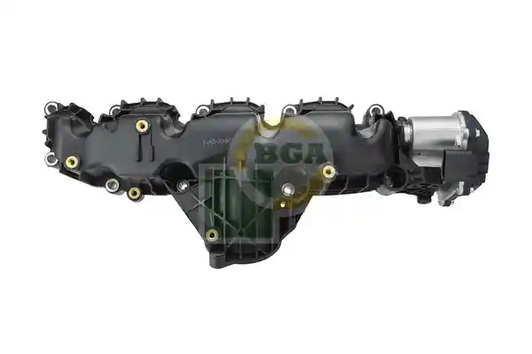 BGA MG0181