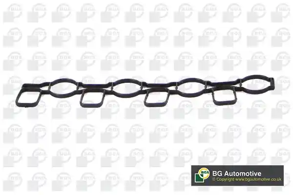 BGA MG4701