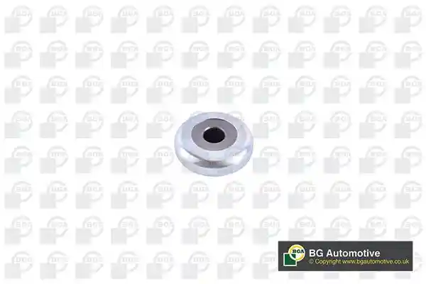 BGA SM1408