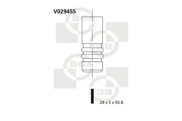 BGA V029455 BGA V029455