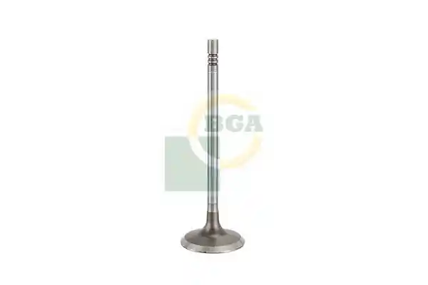 BGA V200263 BGA V200263
