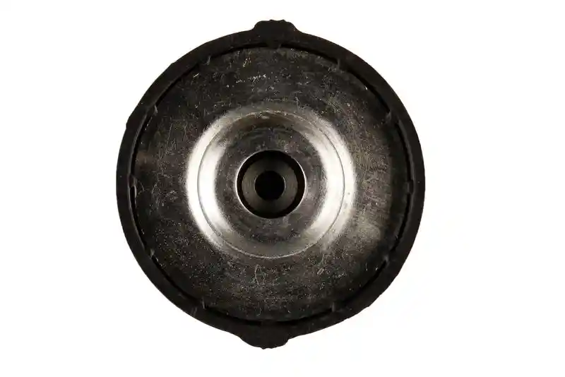 BILSTEIN 12-234318