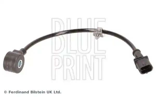 BLUE PRINT ADG07291