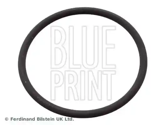 BLUE PRINT ADN16144