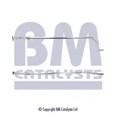 BM Catalysts BM50107