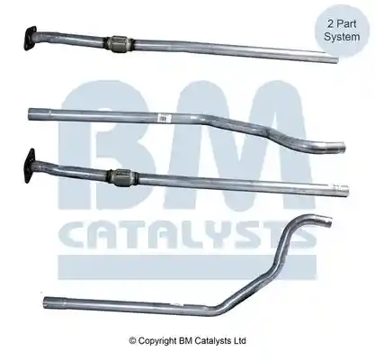 BM Catalysts BM50107