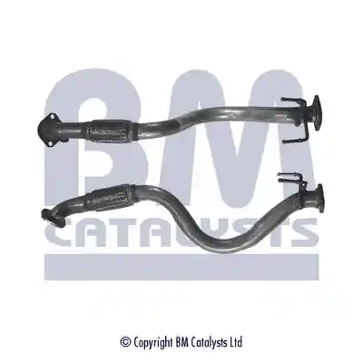 BM Catalysts BM50191