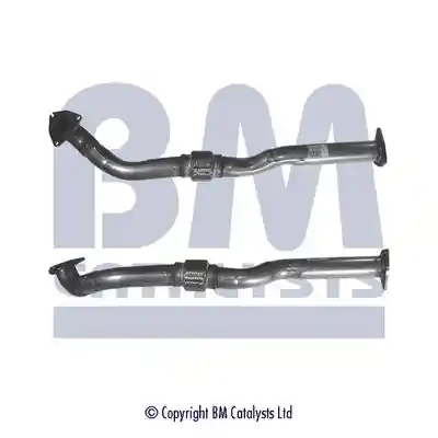 BM Catalysts BM50193