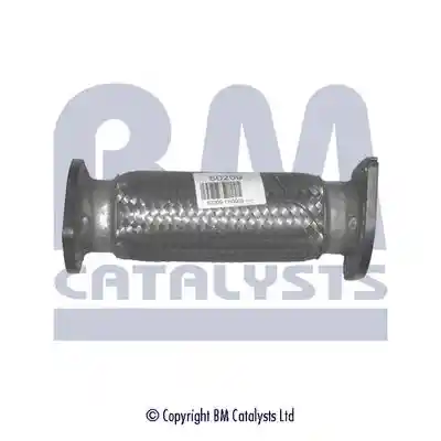 BM Catalysts BM50209 BM Catalysts BM50209