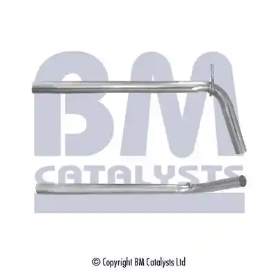 BM Catalysts BM50254 BM Catalysts BM50254