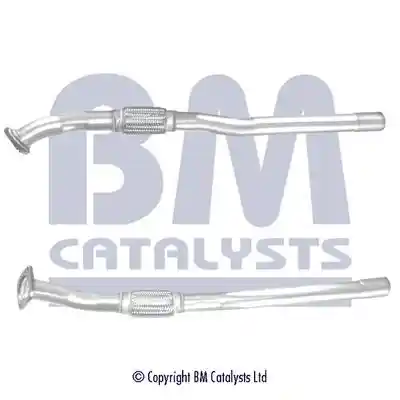 BM Catalysts BM50474