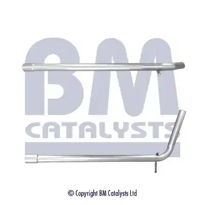 BM Catalysts BM50566