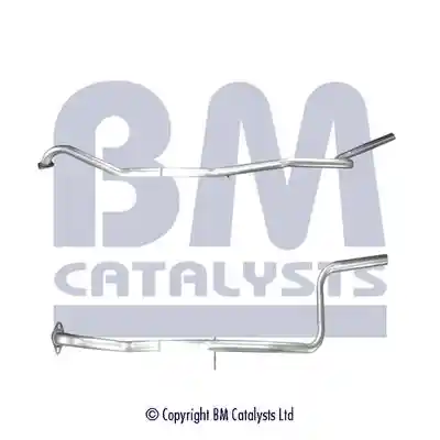 BM Catalysts BM50597