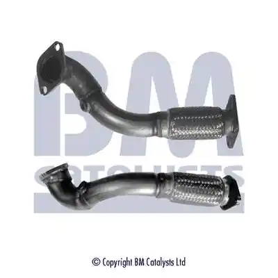 BM Catalysts BM70529 BM Catalysts BM70529