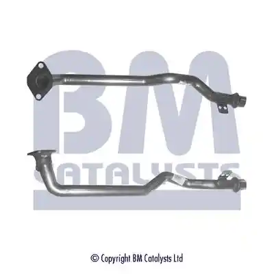 BM Catalysts BM70543
