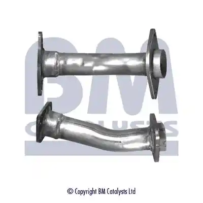BM Catalysts BM70548