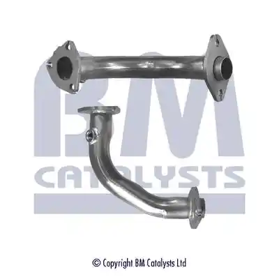 BM Catalysts BM70558