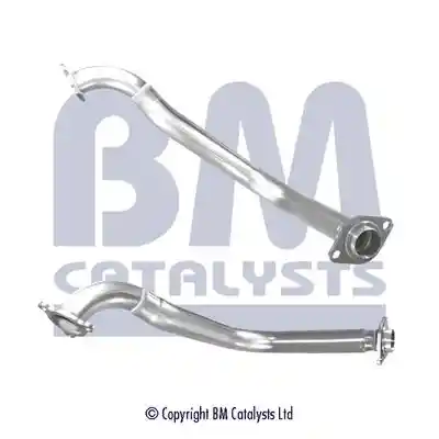 BM Catalysts BM70674 BM Catalysts BM70674
