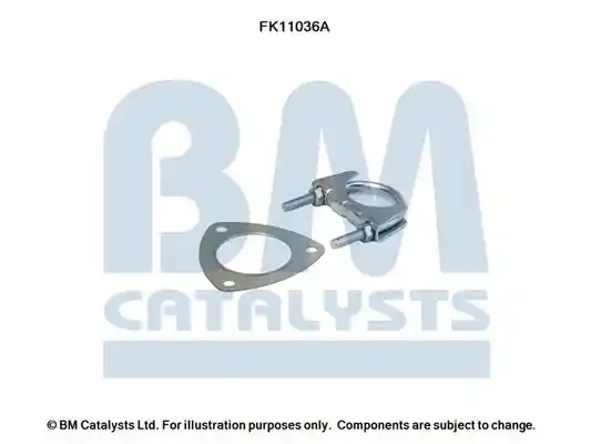 BM Catalysts FK11036