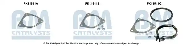BM Catalysts FK11511