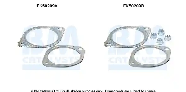 BM Catalysts FK50209