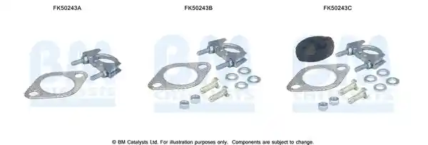 BM Catalysts FK50243