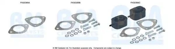 BM Catalysts FK50389