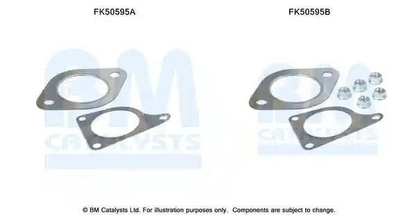 BM Catalysts FK50595