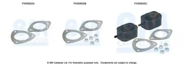 BM Catalysts FK50602