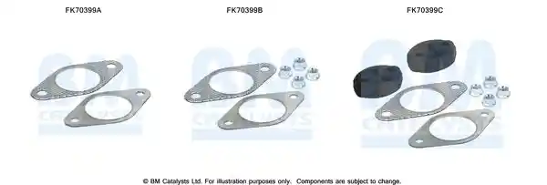 BM Catalysts FK70399