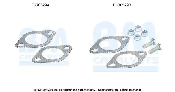 BM Catalysts FK70529
