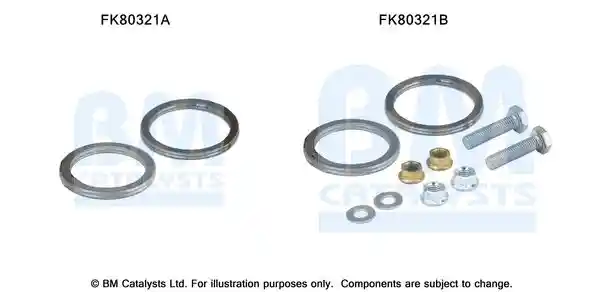 BM Catalysts FK80321