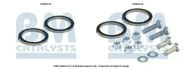 BM Catalysts FK80431