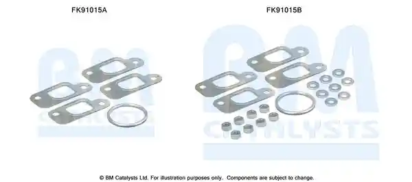 BM Catalysts FK91015