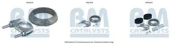 BM Catalysts FK91251
