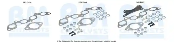 BM Catalysts FK91299