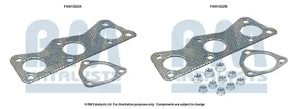BM Catalysts FK91302