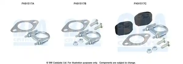 BM Catalysts FK91517