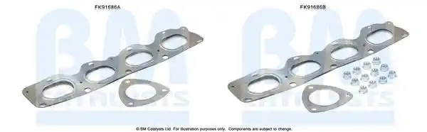 BM Catalysts FK91686